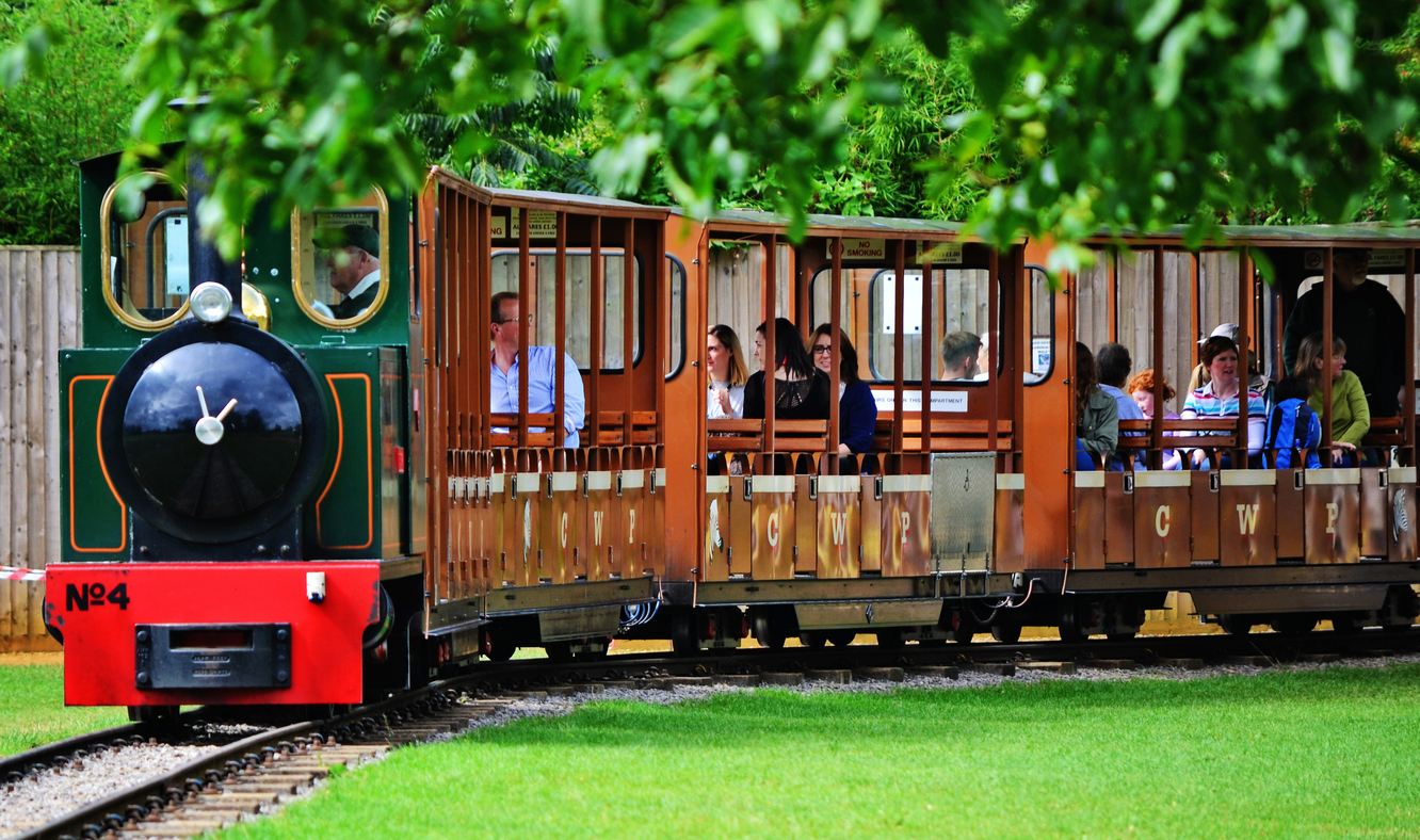 train